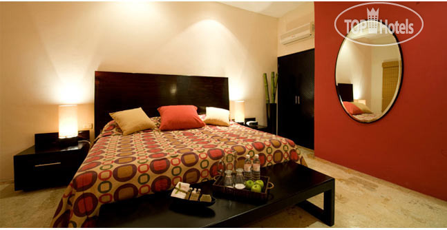 New photos from tourists Blue Parrot 5th Avenue Hotel 3*