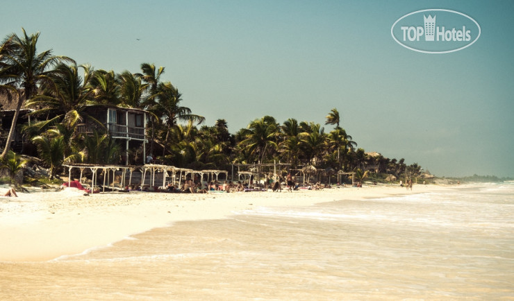 New photos from tourists Papaya Playa 3*