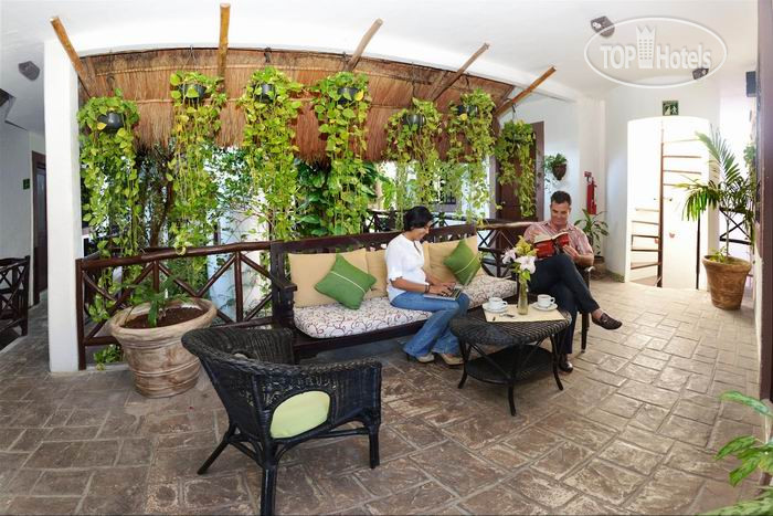 New photos from tourists Posada Mariposa 4*
