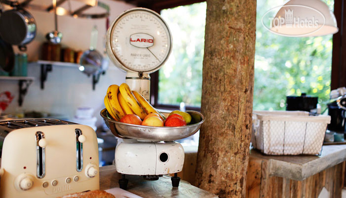 Photos  La Semilla - Adults Only