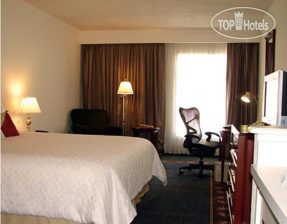 New photos from tourists Krystal Business Hotel 4*