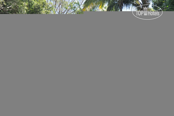 New photos from tourists Mision Cuernavaca 4*