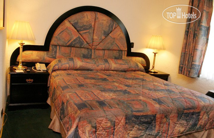 New photos from tourists Hacienda del Rio 4*
