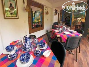 New photos from tourists Jardines del Centro 3*