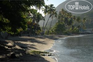 New photos from tourists Hummingbird Beach Resort 3*