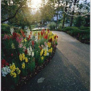 Photos Chateau du Sureau