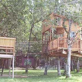 Фото Out 'n' About Treesort