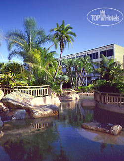 Фото Bahia Resort
