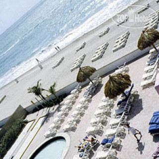 Фото Thunderbird