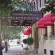 Photos Plaza Athenee