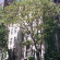 Фото Beekman
