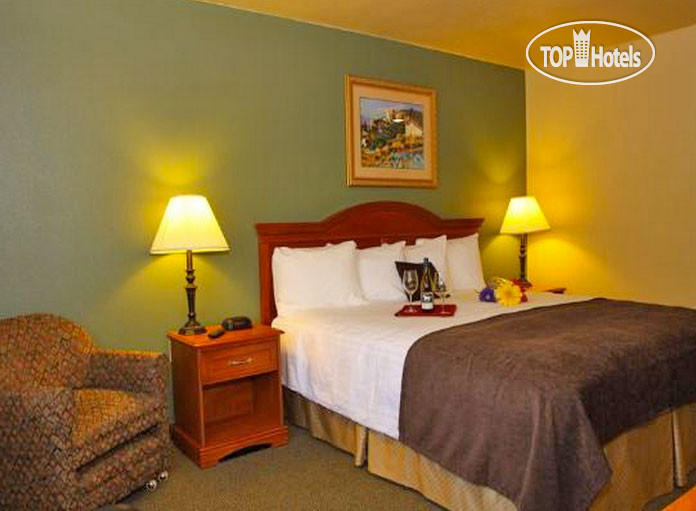New photos from tourists Best Western Plus Colony Inn 3*