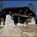 Photos Wuksachi Lodge