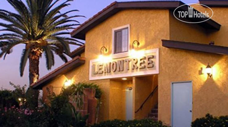New photos from tourists Lemon Tree Hotel & Suites Anaheim 3*