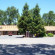 Photos Kelseyville Motel