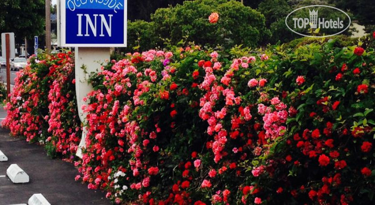 New photos from tourists Monterey Oceanside Inn 2*