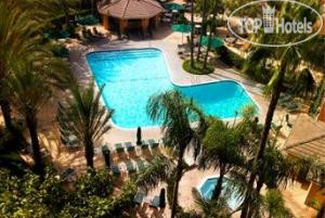 New photos from tourists Sheraton Park Resort 4*
