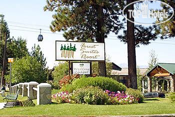 New photos from tourists Forest Suites Resort 3*
