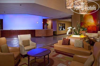 New photos from tourists Hilton San Francisco Airport Bayfront 4*