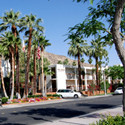New photos from tourists Palm Mountain Resort & Spa 3*