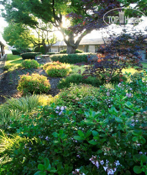 Hotel photo Best Western Plus Garden Inn 3*