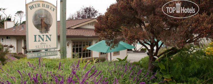 Hotelier's photos Deer Haven Inn & Suites 3*