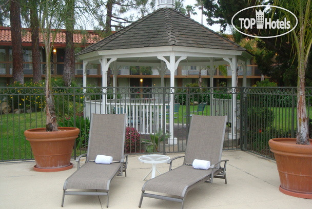Hotelier's photos Palm Garden 3*