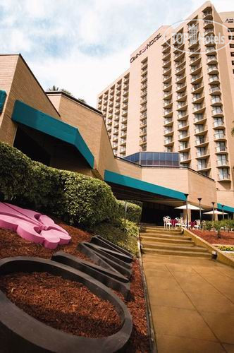 Photos Omni Corpus Christi Hotel Marina Tower