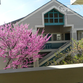 Фото Staybridge Suites Herndon-Dulles