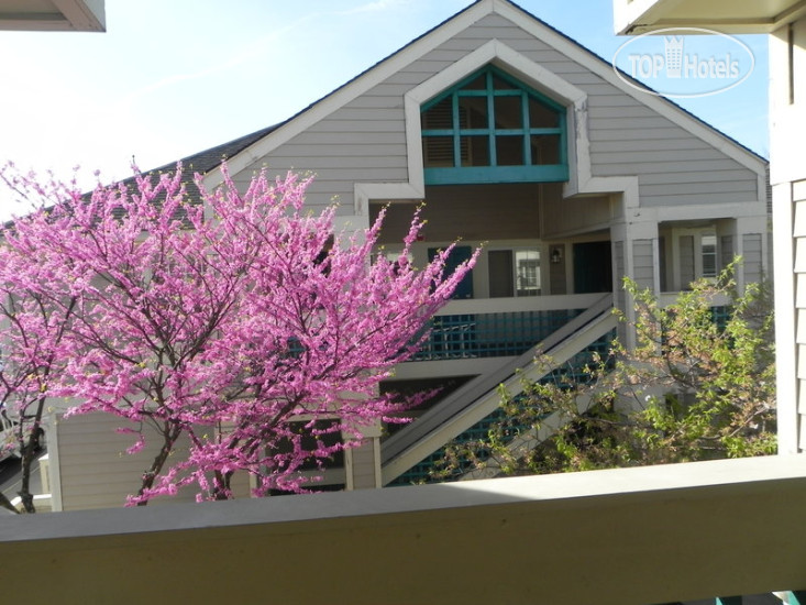 Photos Staybridge Suites Herndon-Dulles