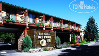Фото Best Western Driftwood Inn