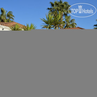 Photos Best Western Palm Court Inn