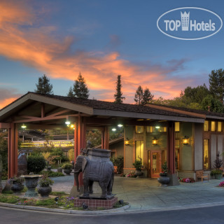 Photos Dinah's Garden