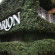 Photos Clarion Hotel Mansion Inn