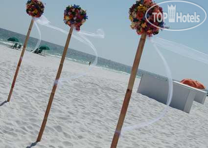 New photos from tourists Hampton Inn Fort Walton Beach 2*