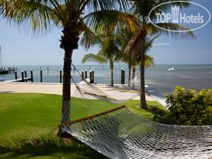 New photos from tourists La Siesta Resort & Marina 3*
