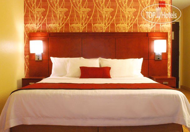 New photos from tourists Courtyard Jacksonville Airport Northeast 3*