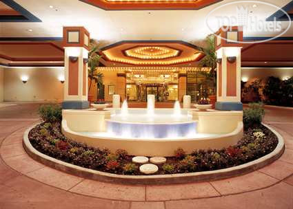 Новые добавленные фото туристов Hilton Daytona Beach Resort Ocean Walk Village 3*