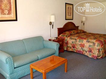 New photos from tourists Bella Oasis 2*