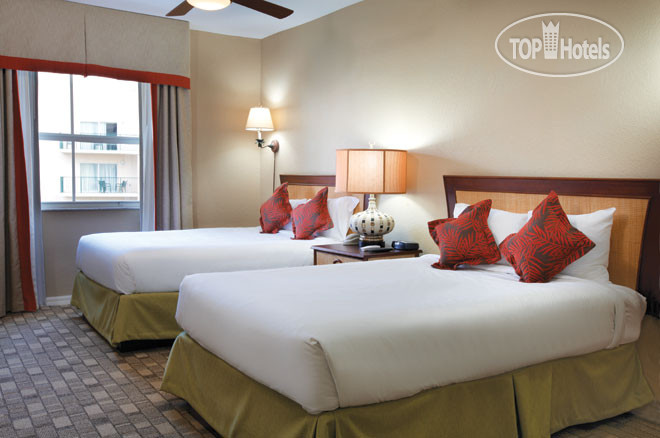 New photos from tourists Wyndham Palm-Aire 3*