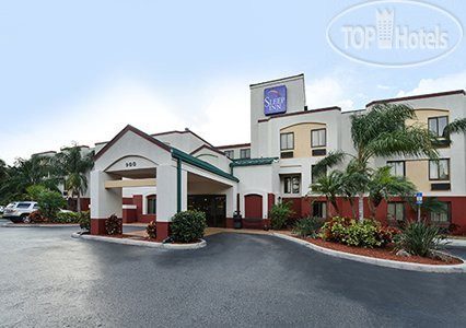 New photos from tourists Sleep Inn Sarasota 2*