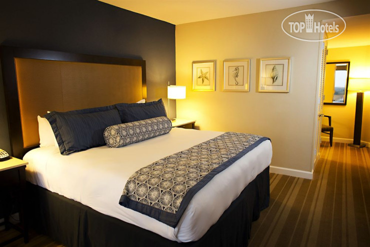 New photos from tourists InterContinental Tampa 4*