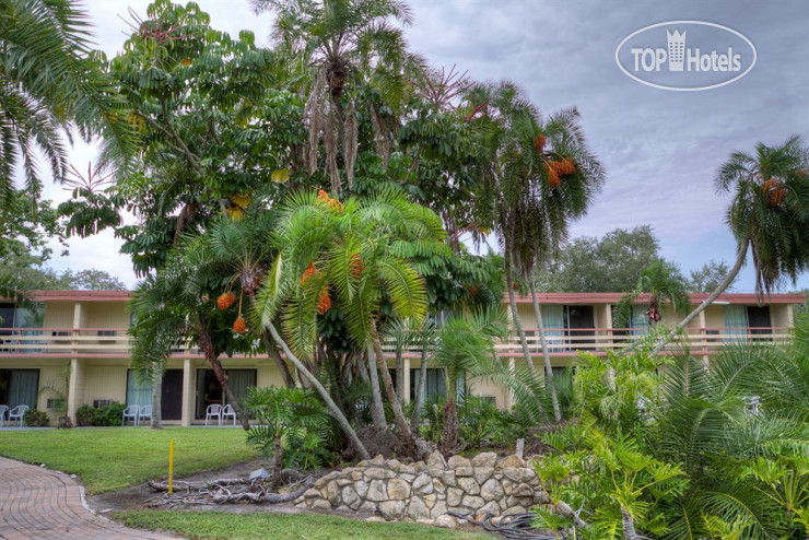 Hotelier's photos Golden Host Resort 2*