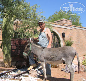 New photos from tourists Karrels Double K Ranch 4*