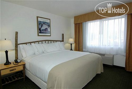 New photos from tourists Holiday Inn Express Hotel & Suites Grand Canyon 3*