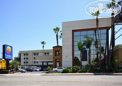 Photos Comfort Inn & Suites LAX Airport