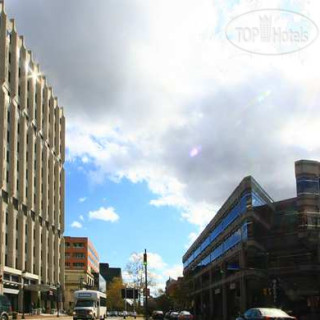 Photos Hilton Garden Inn Washington DC/Bethesda