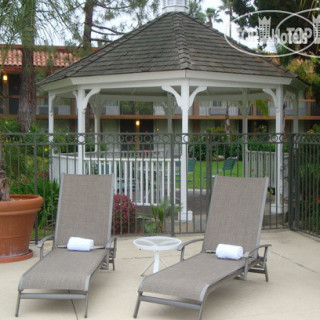 Фото Palm Garden