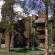 Photos Forest Condominiums