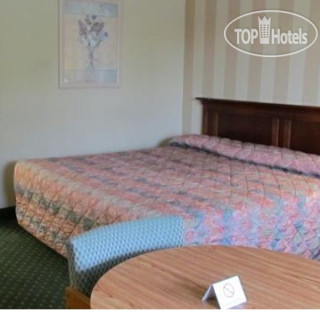 Фото Colony House Motor Lodge